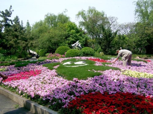 花圃别墅花园设计效果图-家装保姆-罗小红成都家装设计